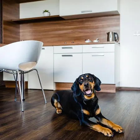 V Jízdárně 3* Olomouc