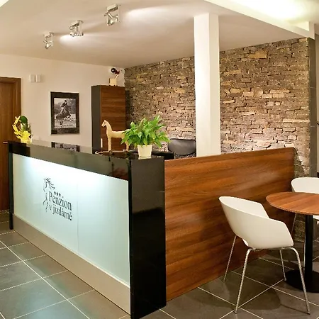 Guest house V Jizdarne 3*