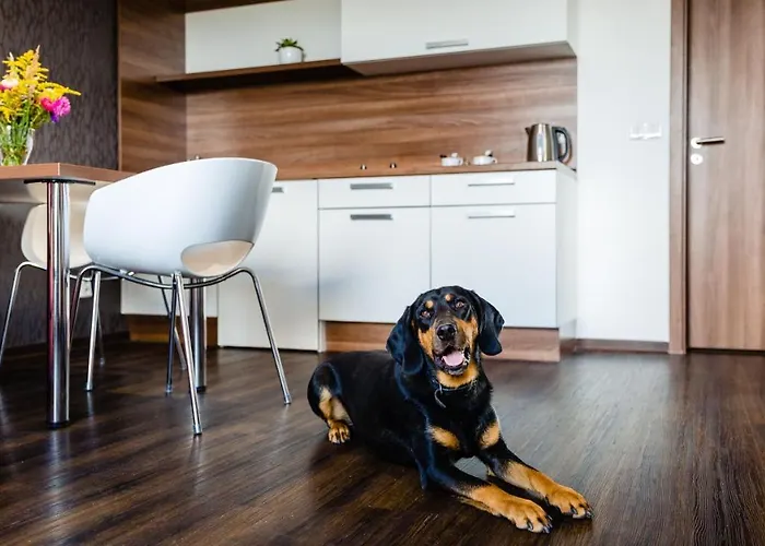 V Jízdárně 3* Olomouc